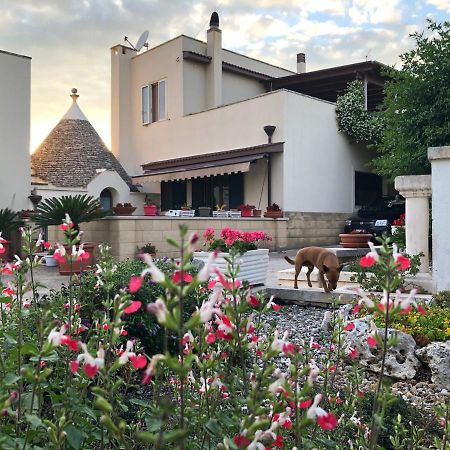Casa Delle Rondini Bed and Breakfast Alberobello Exteriör bild
