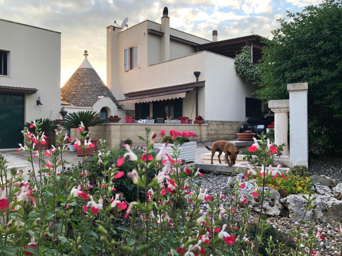 Casa Delle Rondini Bed and Breakfast Alberobello Exteriör bild