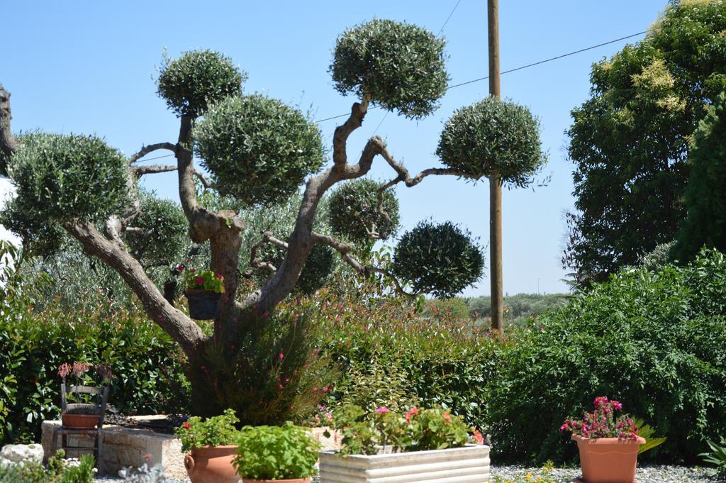Casa Delle Rondini Bed and Breakfast Alberobello Exteriör bild
