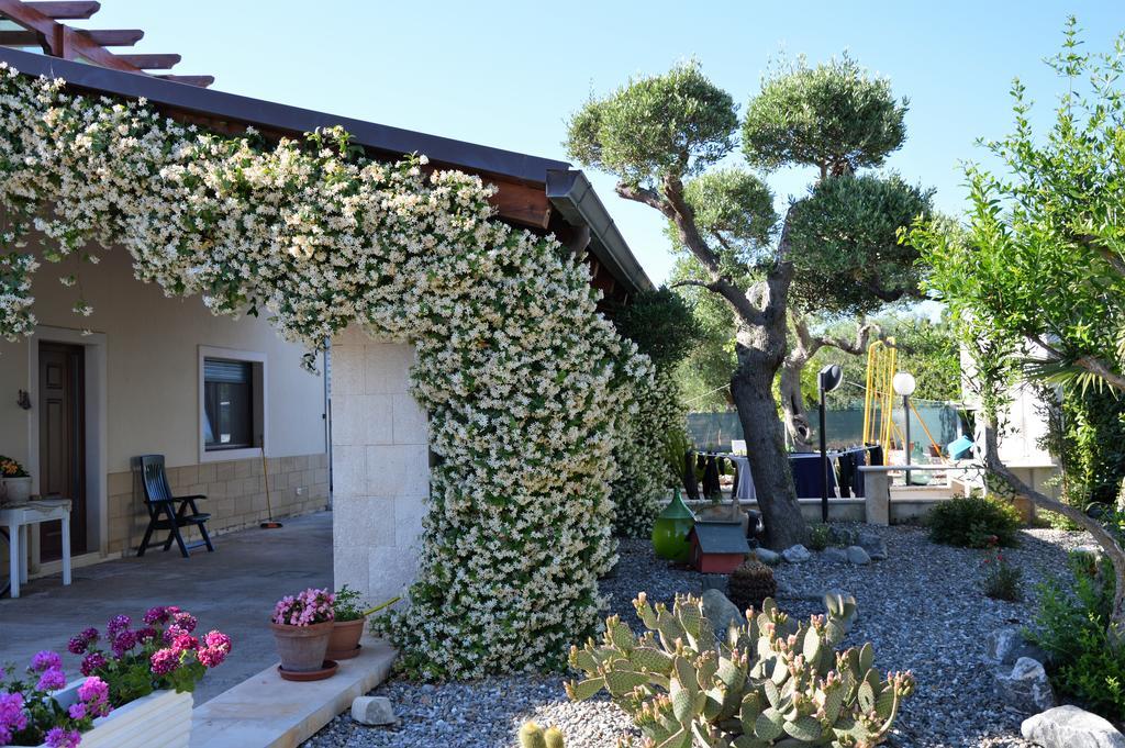 Casa Delle Rondini Bed and Breakfast Alberobello Exteriör bild